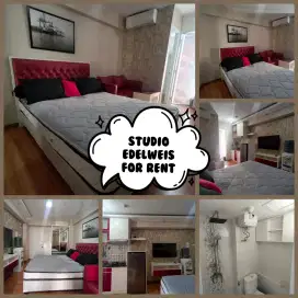 Sewa Studio Lengkap Edelweis Bassura City