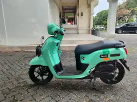 FAZZIO NEO 2024 (KM 4RB)
