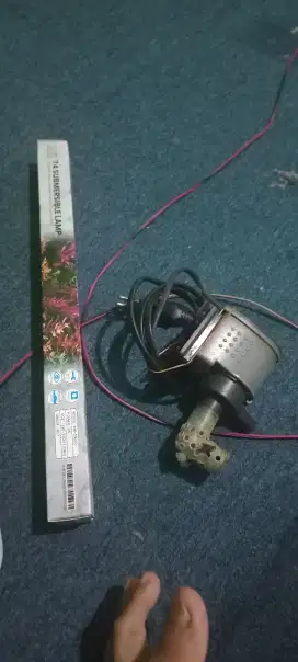 Air pom dan lampu akuarium masih normal