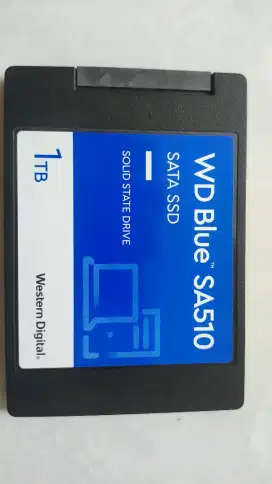 SSD WD BLUE 1TB