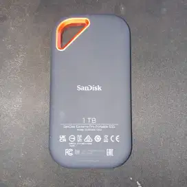 SANDISK PRO 1 TB PRO E81