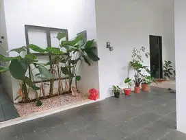 rumah modern tropis di permata bintaro sektor 9