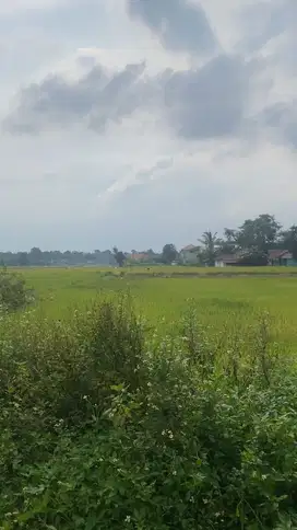 Tanah Luas 935m di Legok Tangerang