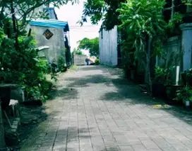 Jual Tanah Di Jln Kebo iwa Denpasar Bali.Bali TV,Gatsu,Tunas Daud,