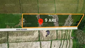 Rare 9-Are Freehold Land in Kedungu