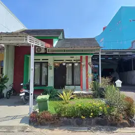 Rumah Tamansari Majapahit Semarang