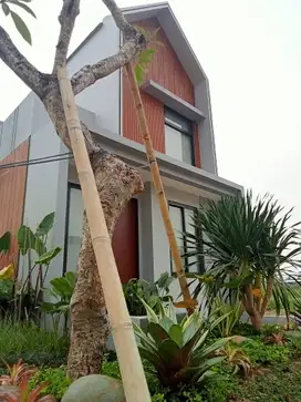 Rumah bali, DP 0%