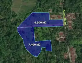 A huge idyllic land of 1.36 Ha for sale in Penebel, Tabanan