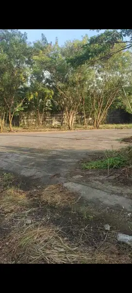 Disewakan Lahan Tanah di Kawasan Industri Pergudangan, Tambun, Bekasi