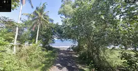 Tanah 115 Are disewakan  300m dari  Pantai Melaya Jembrana Negara