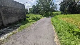 Dekat SD BIAS Kaliurang, Tanah Jakal 10 Jogja