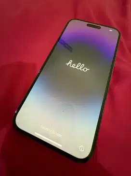 IPHONE 14 PRO MAX 256 GB