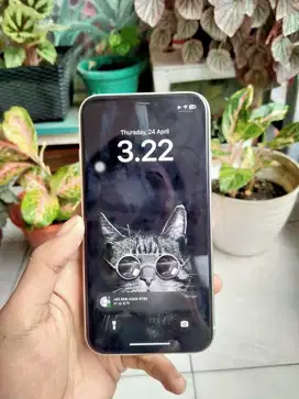 iPhone 11 64GB Resmi