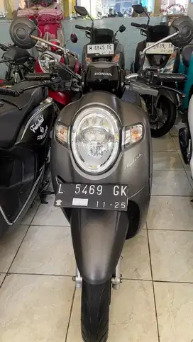 HONDA SCOOPY TH 2020