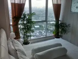 Disewakan murah Tifolia 2 kamar tidur