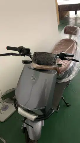 Motor listrik Merk Emoa tipe e1