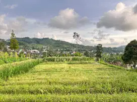 Tanah 852m² Strategis Kawasan Villa Karangpandan