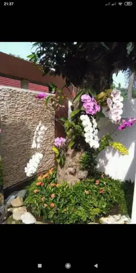 Mencari pekerjaan,