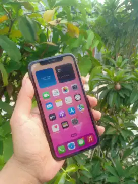 iPhone XR 64 GB ex ibox