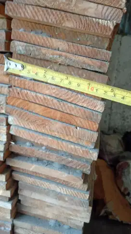 Papan jati Belanda