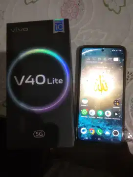 Vivo V 40 Lite 5G 8/256 GB silver