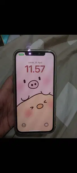 Iphone Ibox 12 128 mint nominus