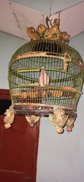 puter pelung nangis ngguguk