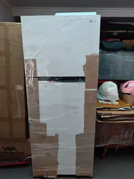 Kulkas LG 2 pintu Maxistore