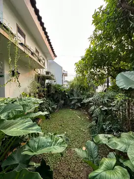 Rumah Luas Siap Huni Harga Dibawah Pasar di Bintaro Sektor 5. 13539