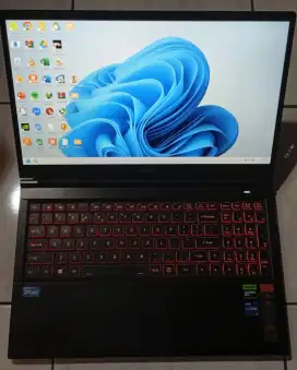 Pongo i7-13620H