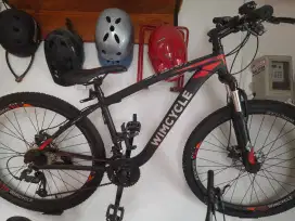 Sepeda MTB Wimcycle Wim Cycle Storm Istimewa