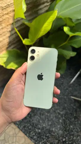 iPhone 12 mini 128Gb Green