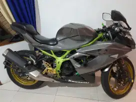 Ninja 250 mono/SL 2018