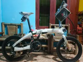 Pasific noris nexx 2.0 uk 20