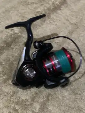 DAIWA EXCELER LT 1000