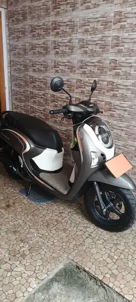 Honda Scoopy 2025 Fashion Sporty