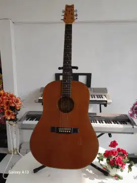 Gitar akustik elektrik WASHBURN