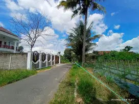 Dijual Tanah Utara Kantor Kecamatan Ngemplak