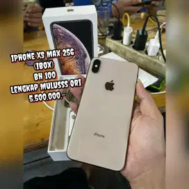 iPhone XS Max 256 (iBox) Bh 100