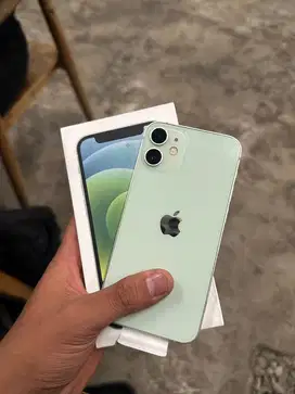 iPhone 12 Mini 64gb resmi ibox ( green )