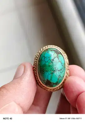 pirus persia dijual aja