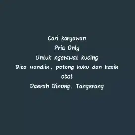 Dibutuhkan Keeper Kucing/Perawat kucing