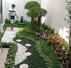 Tukang taman murah
