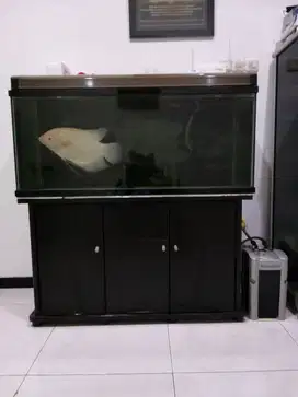 Aquarium 1 set 125x45x50
