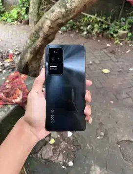xiaomi poco f4 (8/256)