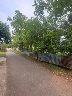 Bismillahirrahmanirrahim Di Jual Tanah Murah Dipinggir Jln Aspal.