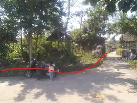 Dijual tanah  pekarang di selo martani kalasan 1200m murah
