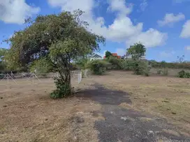 Tanah Kecil Murah 2 Akses Jalan Link Villa Kutuh Bali