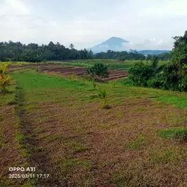 Tanah dengan view sawah, gunung dan sungai cocok untuk hunian