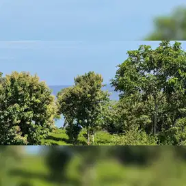 Prime Land in Bingin Center